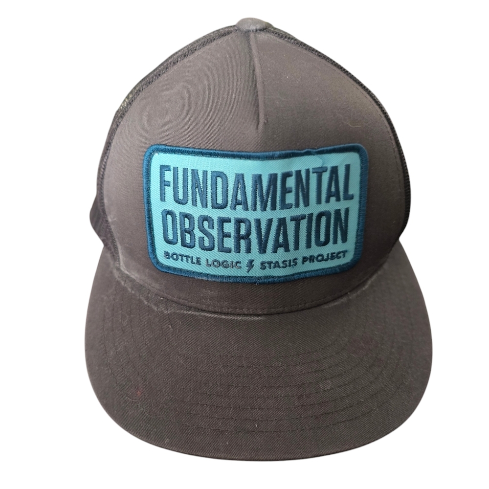 Bottle Logic Brewing Snapback Hat Grey